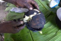 taking a slice out of the breadfruit