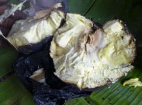 the inside of the breadfruit