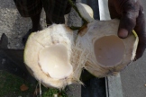 coconut jelly