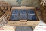 organic local blueberries